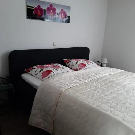 Ferienwohnung Haus Emmerich Sarrebourg